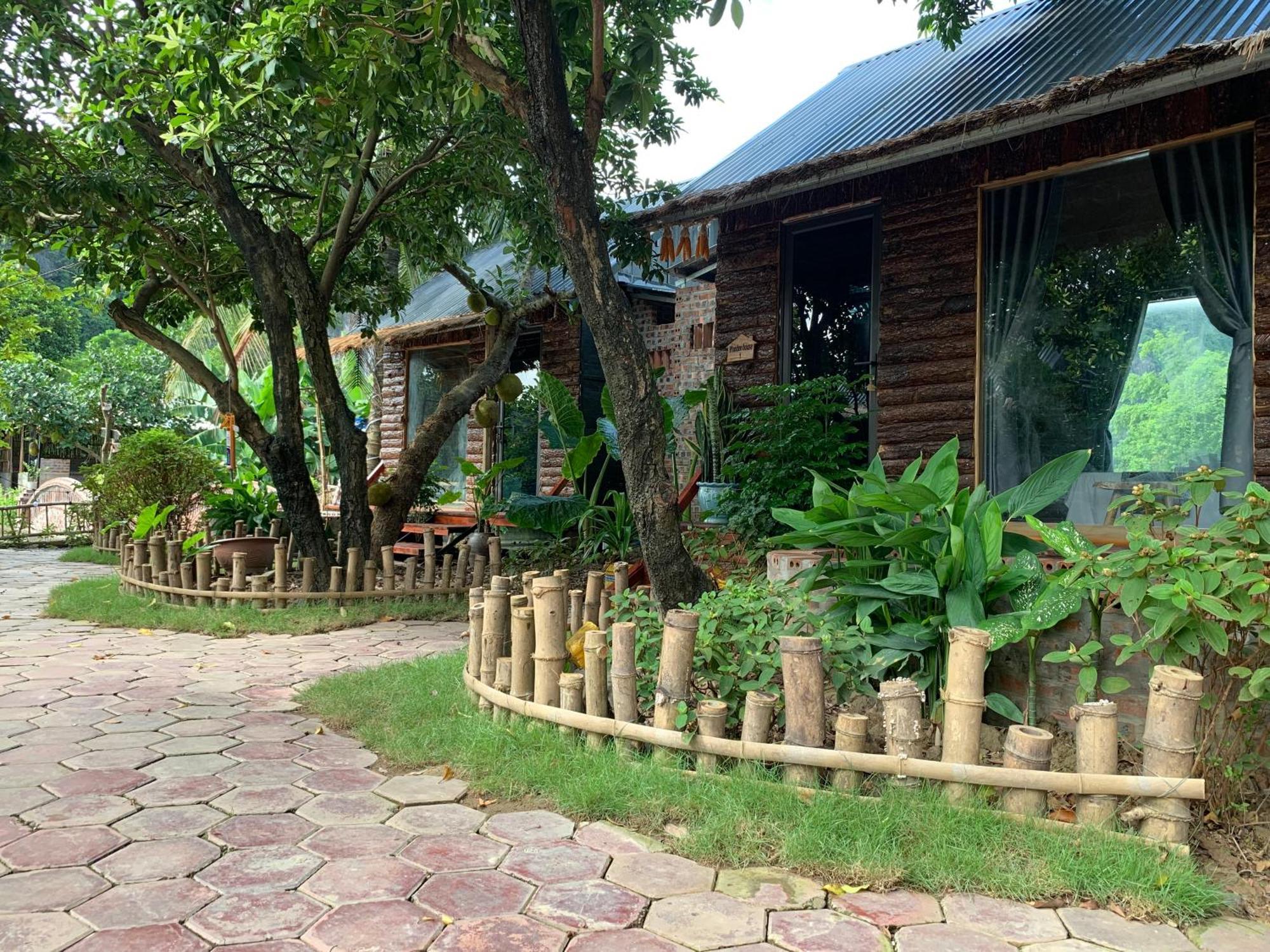 Peaceful Refuge Homestay Ninh Bình Exteriör bild