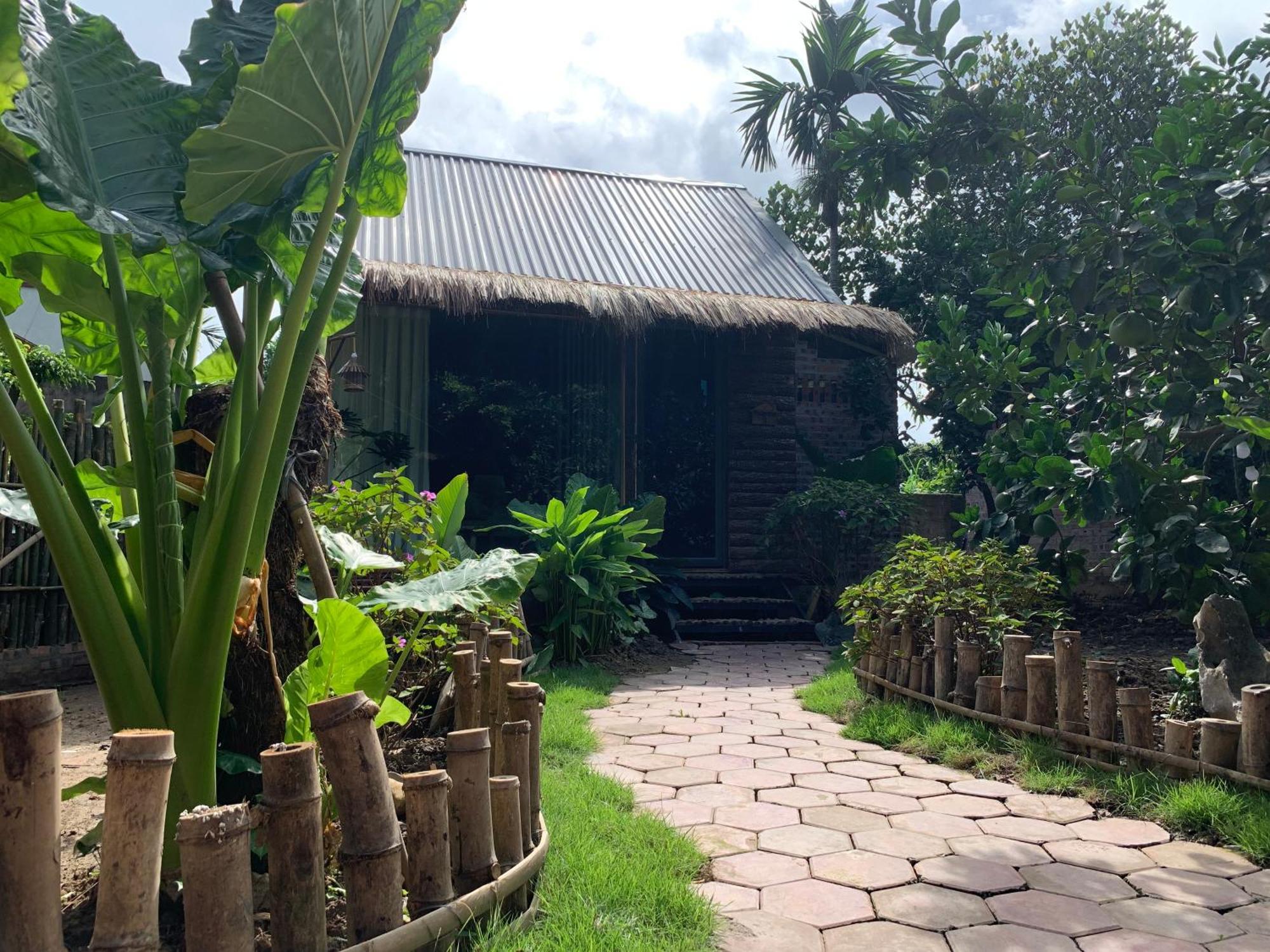 Peaceful Refuge Homestay Ninh Bình Exteriör bild