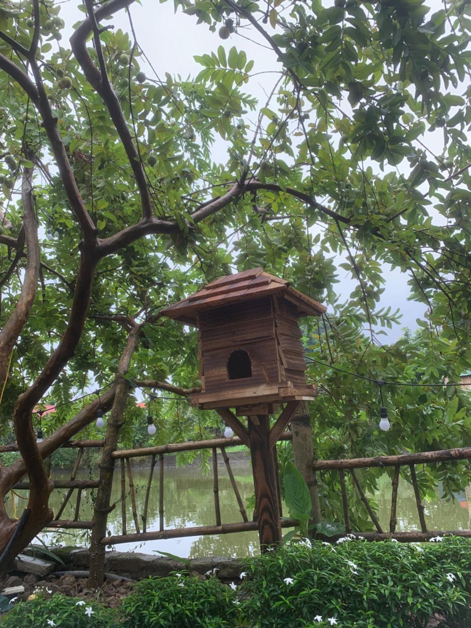 Peaceful Refuge Homestay Ninh Bình Exteriör bild