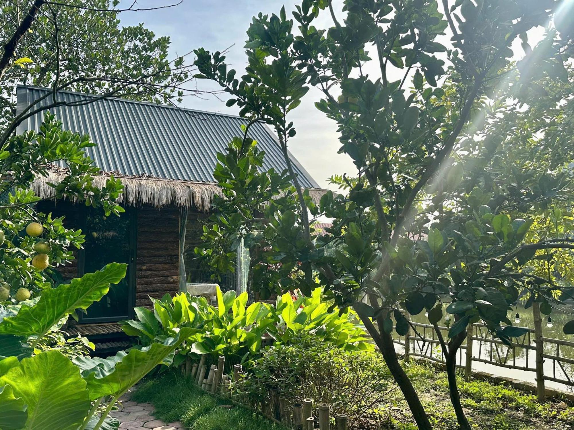 Peaceful Refuge Homestay Ninh Bình Exteriör bild